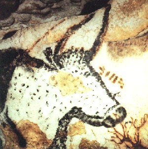 Lascaux bull cave art